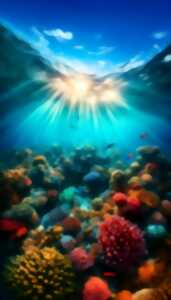 photo Heure du conte et atelier - Habitats marins