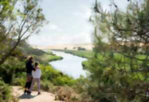 photo Balade contée - La nature Landaise