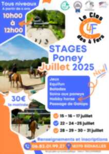 photo Stages de poney en juillet
