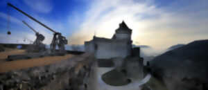photo Spectacle nocturne 