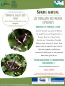 photo Sortie nature - Les papillons des milieux forestiers