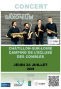 photo Concert du quatuor itinérant 