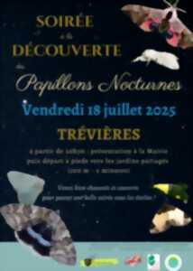 photo Soirée à la découverte des papillons nocturnes