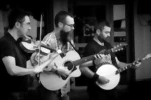 photo Les Nouvelles Terrasses Musicales - Tavarn