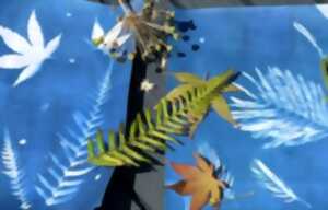 photo ATELIER CYANOTYPE
