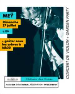 photo Violon et garden party