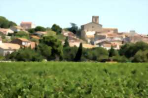 photo BALADES DU P'TIT BALUCHON : VENDRES, MAISONS VIGNERONNES