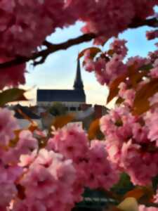 photo Journées Européennes du Patrimoine : visites libres et commentées de l'église et son clocher
