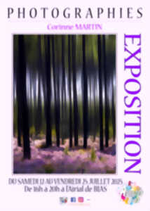 photo Exposition photographies
