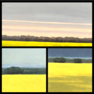 photo Expositions