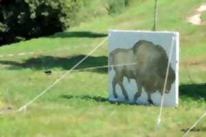 photo ANIMATION : TIR AU PROPULSEUR