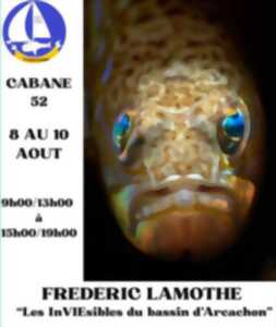 photo Exposition : Frédéric Lamothe
