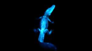 photo “Nox” projet autour de l’IA et de la création d’images
