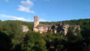 photo Balade Nature et Gourmande