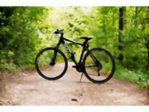 photo Rando / VTT et trail