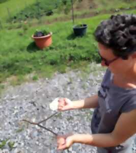 photo Les Apprentis Sourciers