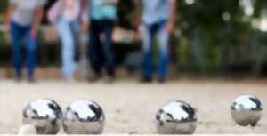 photo Concours de pétanque