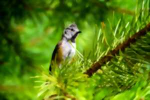 photo Bocage en Pays-Mellois