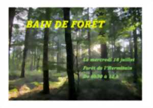 photo Bain de forêt
