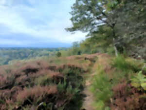 photo Randonnée découverte des landes de la vallée de la Gartempe