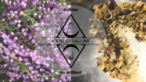 photo Visite de l'Atelier et de sa boutique