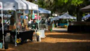 photo Vide grenier Landouge - Limoges