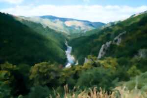 photo PROJECTION DU NOUVEAU FILM DE LUIGI DE ZARLO : LES CÉVENNES