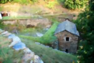 photo VISITE PATRIMOINE AU MOULIN BONIJOL