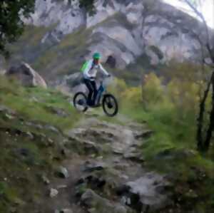 photo SORTIE EN TROTTIN MOUNTAIN