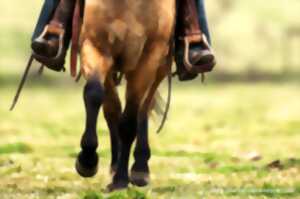 photo Festival de Bugeat Conférence : Le cheval, un partenaire