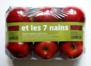 photo 3 petits cochons et les 7 nains