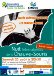 photo Soirée crépusculaire sur les chauves-souris