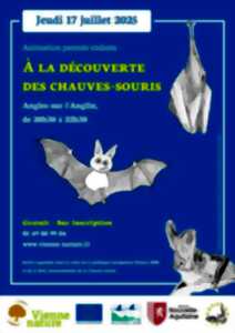 photo Animation parents-enfants : à la découverte  des chauves-souris