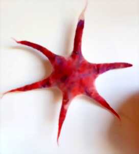 photo Atelier de laine feutrée : étoile de mer