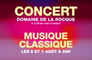 photo Concert musique classique | Un été sud-américain