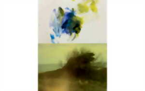 photo Exposition : PATXI OAIA
