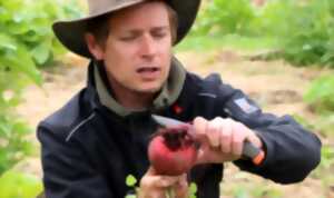 photo Jardin potager et Techniques écologiques