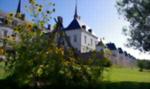photo Scènes ouvertes dans les Jardins