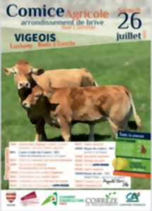 photo Comice agricole cantonal