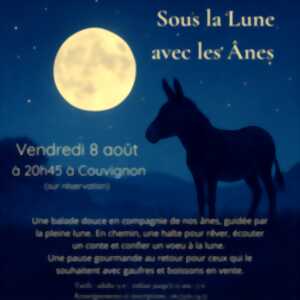 photo Balade sous la lune avec les ânes