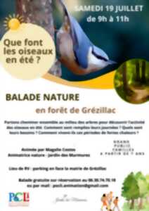 photo Balade nature en forêt de Grézillac