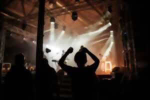 photo Concert : Boeuf des Agités