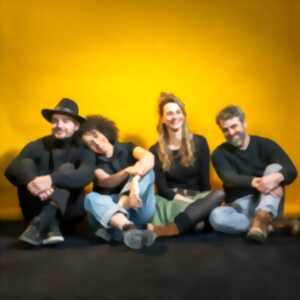 photo SPECTACLES EN SALLE | The Sugar family