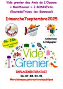photo Vide grenier des Amis de l'Ozanne