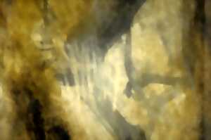 photo PHILIPPE GUITTON, EXPOSITION PEINTURE