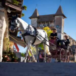 photo Fête du cheval de Villeréal