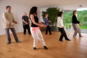 photo TAI CHI CHUAN ET EQUILIBRE POSTURAL À SAINT MICHEL ET A CAZERES