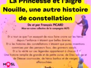 photo La Princesse et l'aigre Nouille, une autre histoire de constellation