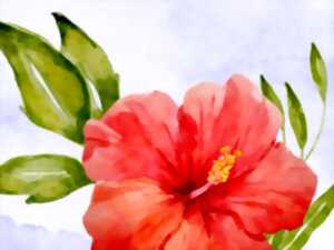 photo Atelier d'initiation aquarelle : fleurs et végétaux