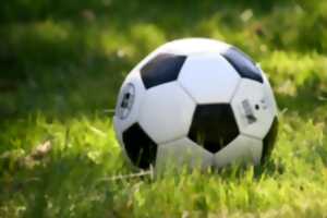 photo SPECTACLE DE FOOT FREESTYLE